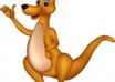 answer 10 questions you have about Australia