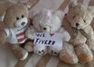 make a cute picture for you My three cute bear will hold your message