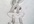 draw any animated photo