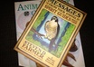 give advice conversation with no judgment Tarot