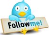 show you how to get 500 or more followers per day on Twitter