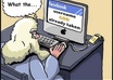 give you 55 + melbourne based australia Facebook Likes