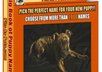 send an Ebook with Over 1000 Puppy Names as pdf. format Email attachment