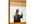 deliver my ebook Top 65 questions every business owner should be asking today