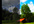 make any dull or blurry photograph more vibrant and focused
