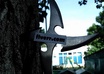 throw a shuriken with your message on it small1