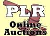 sell PLR article pack on making money with auctions online