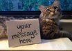 take a photograph of my cat with your message small1