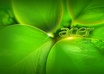 put 80 Quality Share on your facebook Picture/Video/Status