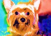 turn your favorite pets photo into dazzling art and ship it to you