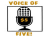 provide a professional voice over small1