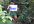 make a video of funny jungle boy singing happy birthday day