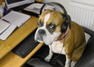 transcribe in less than 48 hours up to 10 minutes of any English audio or video