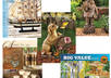 send you 5 beautiful full color catalogs  small1