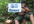 find and promote your webiste or any message in jungle