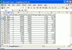 give you MS Excel support