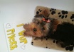 take a pic with YOUR message with my yorkie Nicca