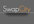 create a professional company  logo