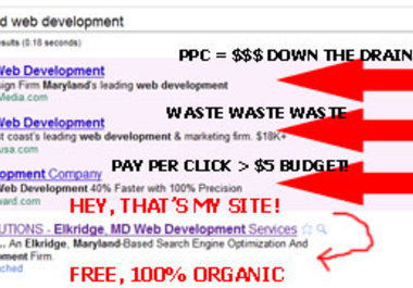 rank your site on 1st page of Google for one specific keyphrase big1