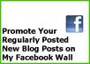 promote Your BLOG with Consistent Facebook Advertising for Up To 15 Days