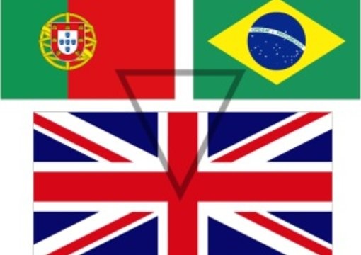 fluently translate up to 250 words from portuguese to english or from english to portuguese big1