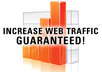send 666 visitors every day for one month