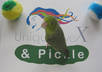 film my Bird playing around your Ad or Message