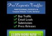 send 1000 Targeted Website Traffic Hits From USA Visitors
