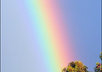 immediately translate a short 30 words dream and help you solve your basic problems with this knowledge