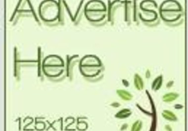 put your banner 125x125 on my car insurance website for life big1