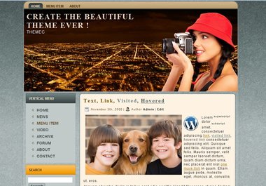 design a Fantastic Basic theme for your website wp blogger and more big1