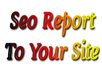 give you SEO report for your site 32 pages indepth seo and sem report for your site you must get professional advises how to make your site in top ranking in the search engines