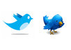 add 300 followers to your twitter account