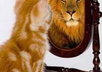 Self_esteem