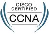 show you how to pass CCNA 640 802 exam even if you dont have any idea what it is