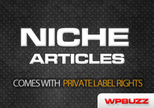 send you All articles related to your niche PLR rights included big1