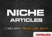 send you All articles related to your niche PLR rights included