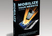 show you how to optimize your website for mobile phone access small1
