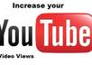 provide more than 5000 Youtube Views to your Video [Oldest and Trusted Seller] small1