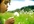 add your Website or Link to my Health DIRECTORY for Backlink on a PR2 Blog