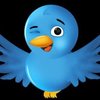 tweetwhiz