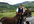 record an Irish greeting with Irish music in the background