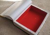 make you your own secret hollow book