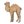 cashcamel