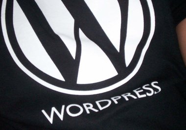 give you complete professional Videos guide on how to install wordpress big1