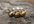 make a sterling silver rustic earthy yellow Pearl ring