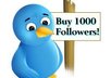 increase 1000 plus twitter followers to your twitter account small1