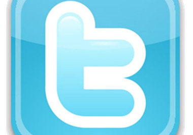 give you 25+ twitter follower to your page big1