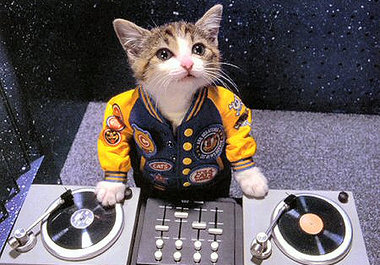 tell you how to pick the best DJ for your wedding big1