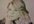 draw a any picture you send me in pencil and send the money to a needy cause
